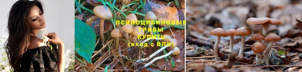 mdma Медногорск