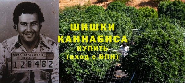 PSILOCYBIN Медвежьегорск