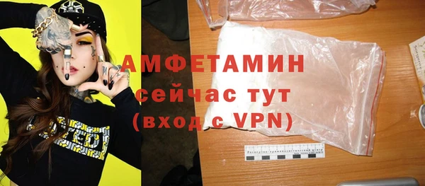 мдпв Каменногорск