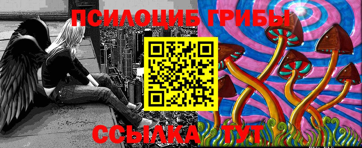 Галлюциногенные грибы Psilocybine cubensis Обнинск