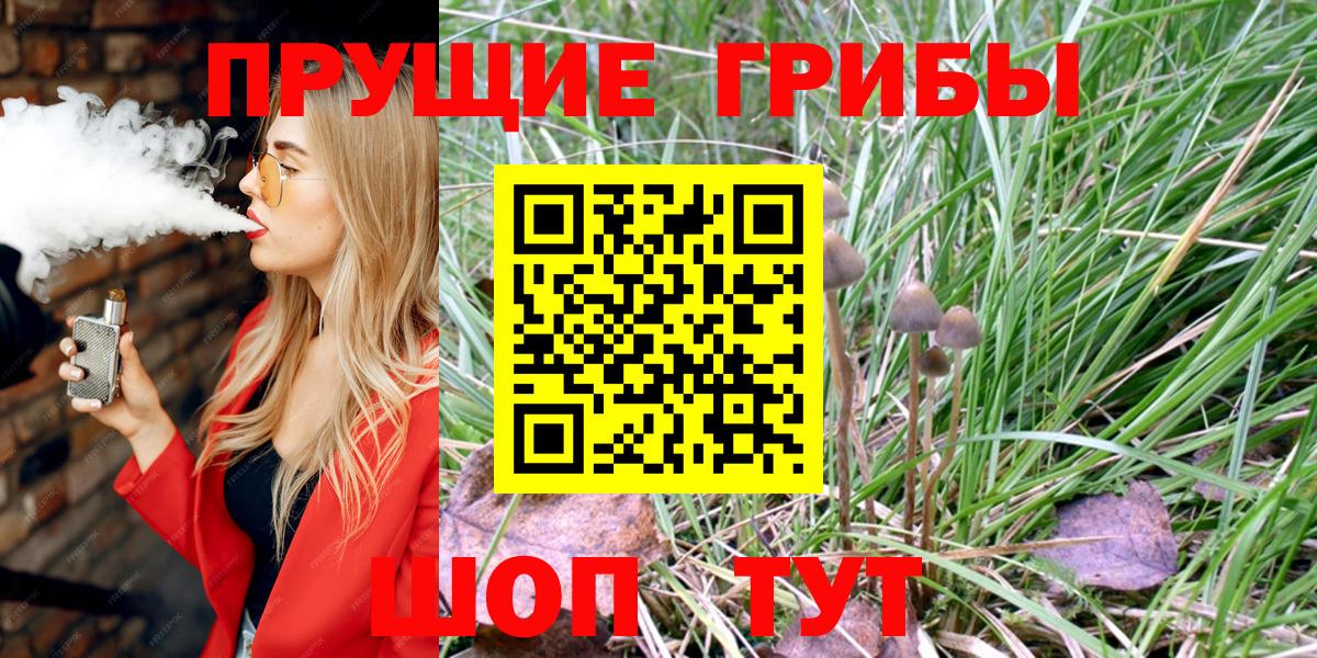 Псилоцибиновые грибы прущие грибы Обнинск