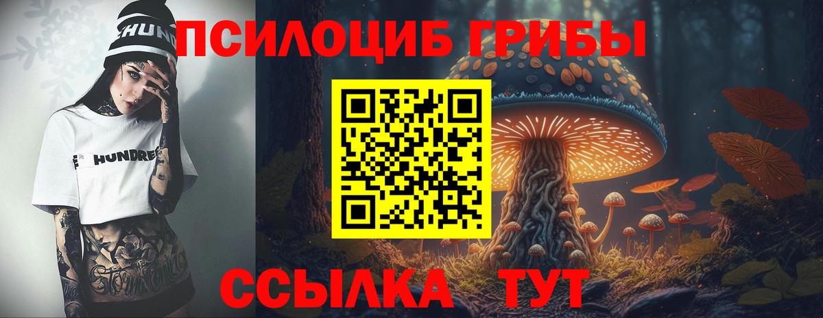 Псилоцибиновые грибы MAGIC MUSHROOMS  Галлюциногенные грибы Cubensis  наркошоп  Вход с VPN  Обнинск 