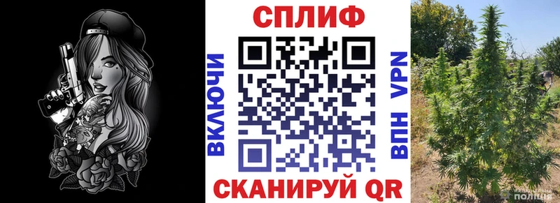 Марихуана White Widow  как найти   Обнинск 